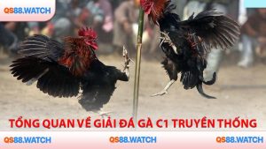 Tổng quan về giải đá gà C1 truyền thống