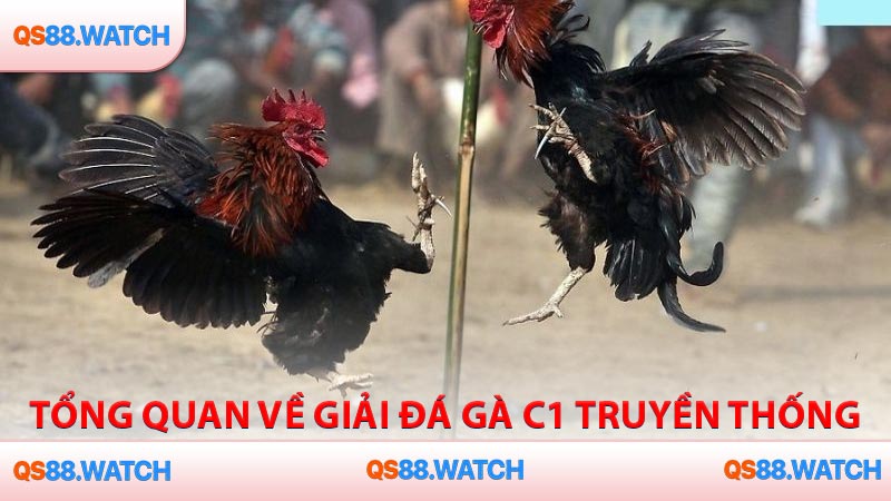 Tổng quan về giải đá gà C1 truyền thống